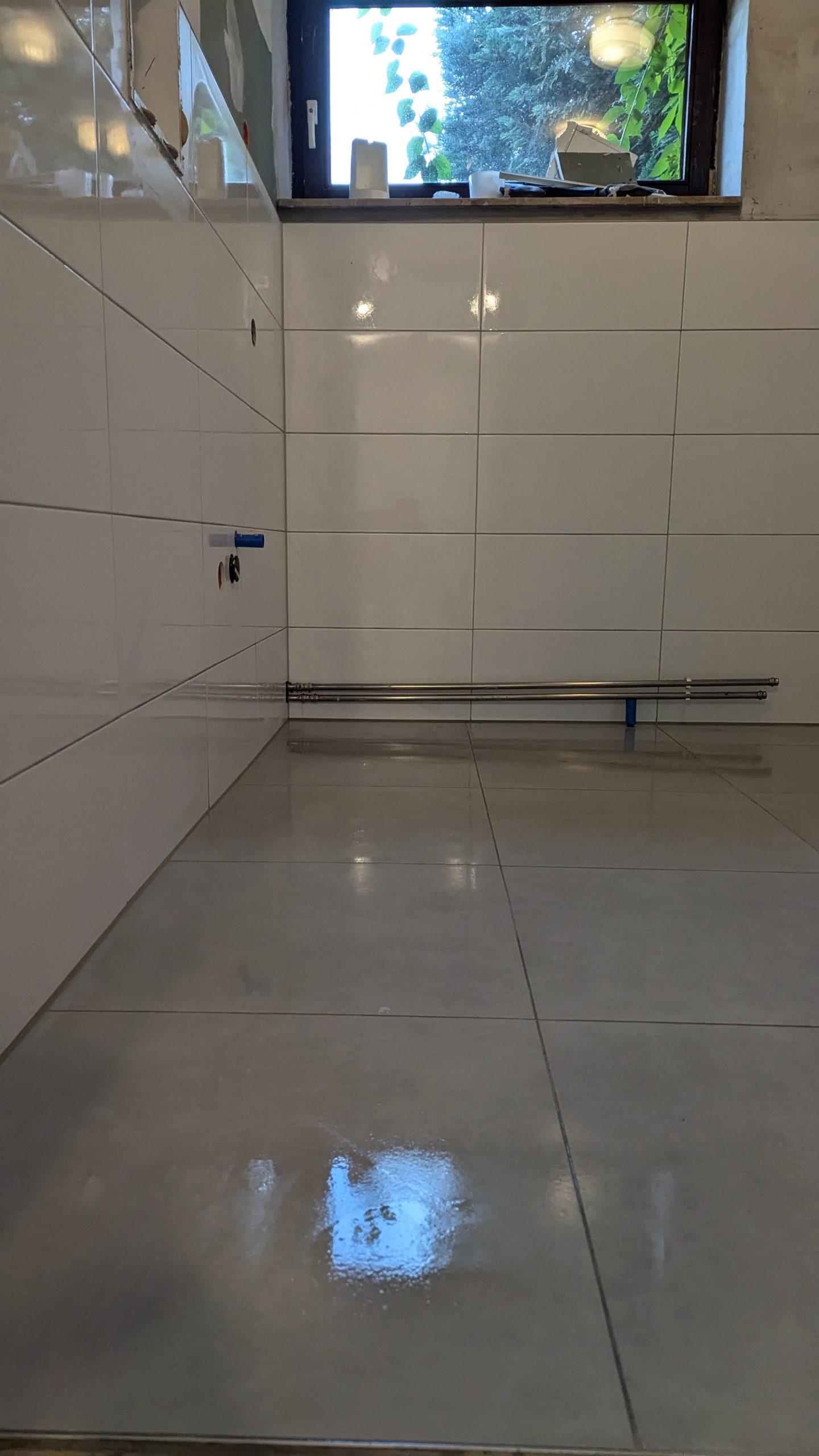 PXL_20240819_064434245